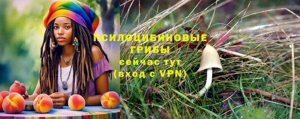 ПСИЛОЦИБИНОВЫЕ ГРИБЫ Армянск