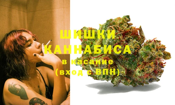 ПСИЛОЦИБИНОВЫЕ ГРИБЫ Армянск